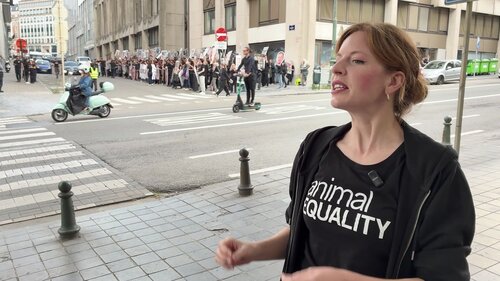 Daniela Fiegel, campaing manager Animal Equality Germany