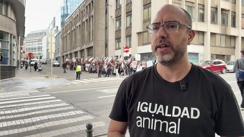 Javier Moreno, cofundador de Igualdad Animal