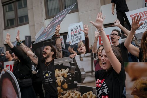 Credit Raffaelle Petralla | Animal Equality