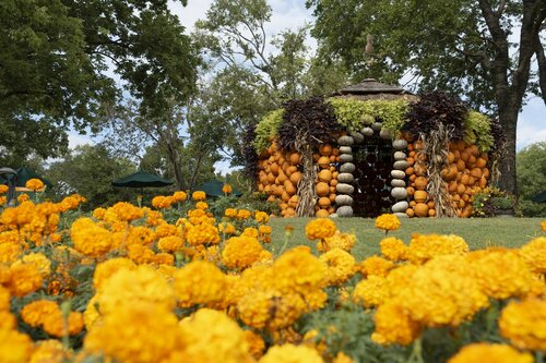 Photo by Caitlin Harris. Courtesy of Cheekwood Estate & Gardens.