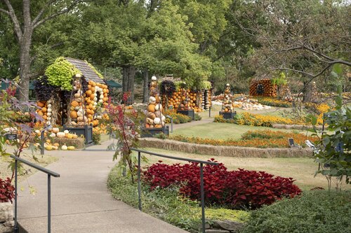 Photo by Caitlin Harris. Courtesy of Cheekwood Estate & Gardens.