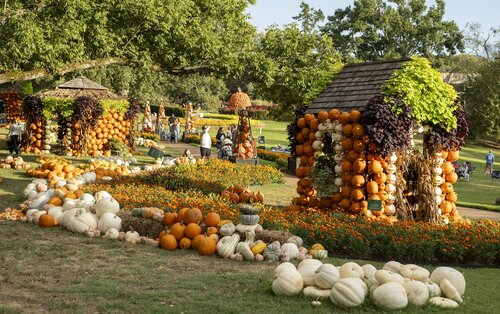 Photo by Caitlin Harris. Courtesy of Cheekwood Estate & Gardens.