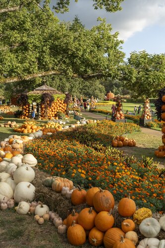 Photo by Caitlin Harris. Courtesy of Cheekwood Estate & Gardens.