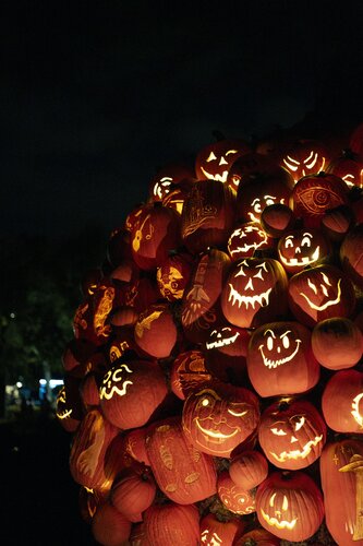 Photo by Caitlin Harris. Courtesy of Cheekwood Estate & Gardens.